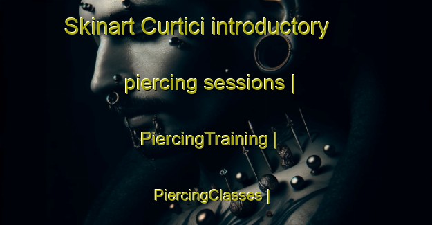 Skinart Curtici introductory piercing sessions | PiercingTraining | PiercingClasses | SkinartTraining-Romania